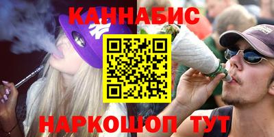 крисы Брянск
