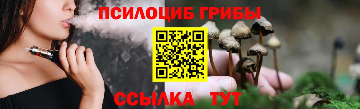 Псилоцибиновые грибы мухоморы  Псилоцибиновые грибы MAGIC MUSHROOMS  сколько стоит  Вход с VPN  Камышин 